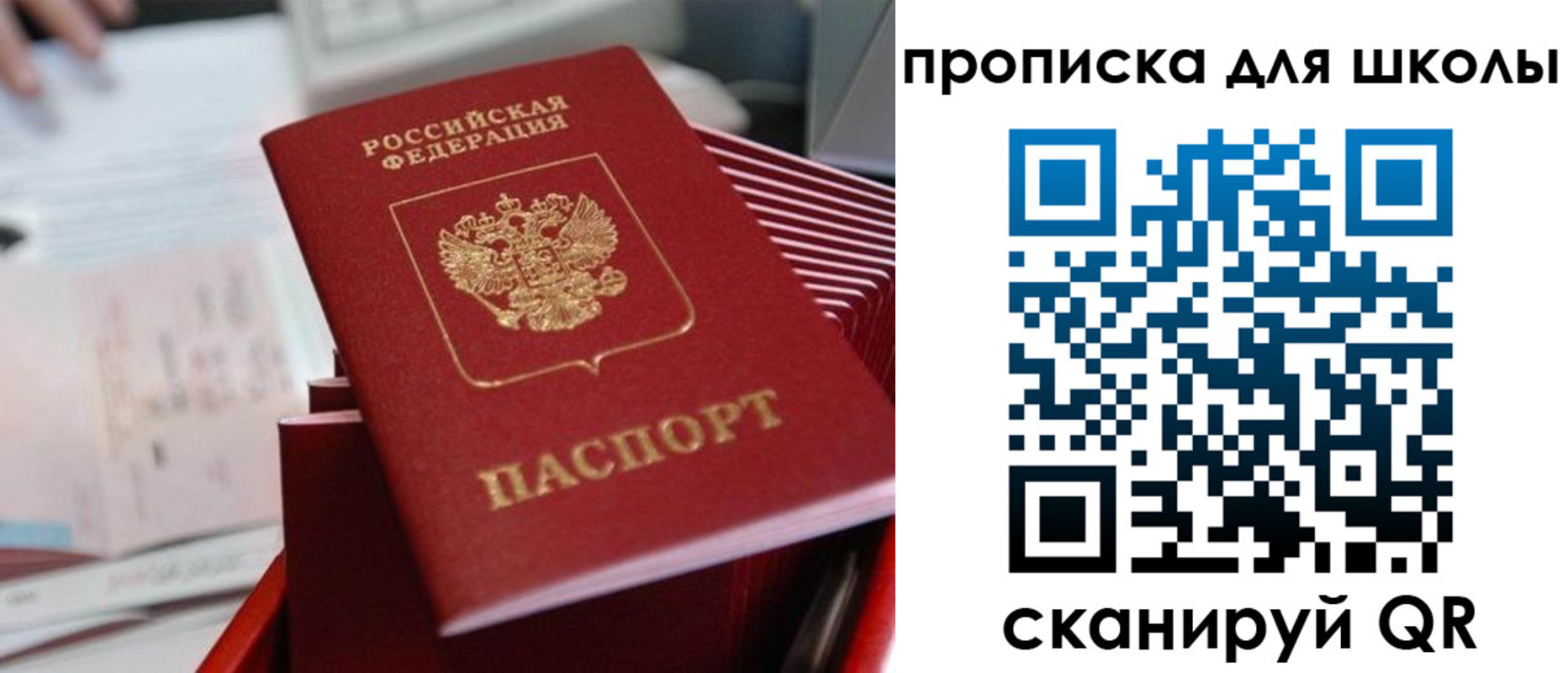 прописка для школы в Петухово